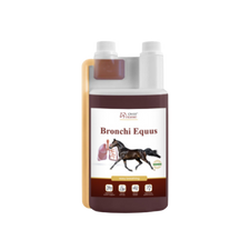 Over Horse Bronchi Equus