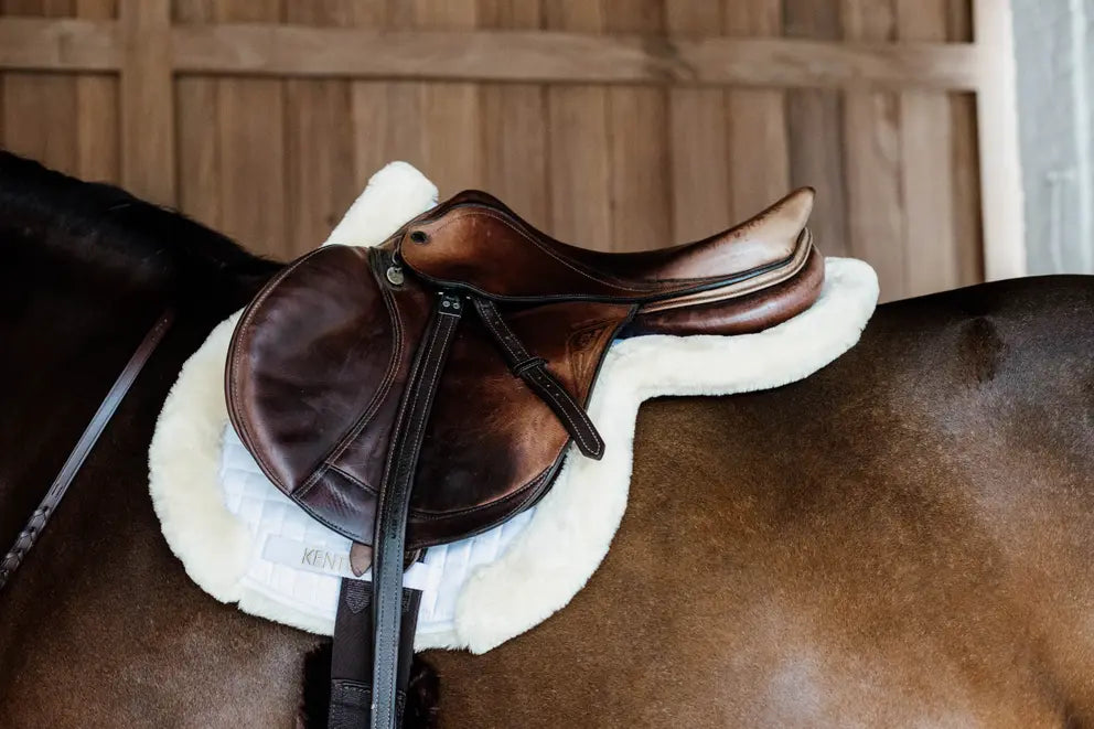 Saddle Pad Hunter vegan sheepskin jumping by Kentucky