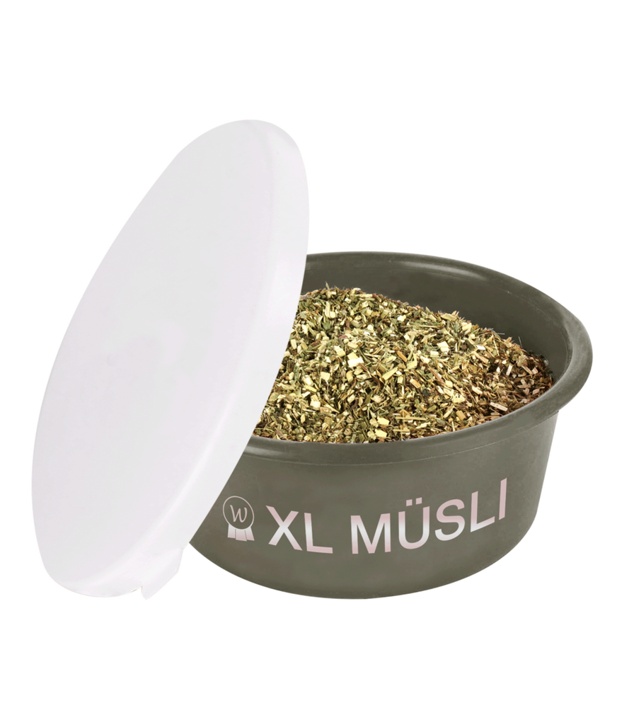 XL "MUESLI" BOWL WITH LID by Waldhausen