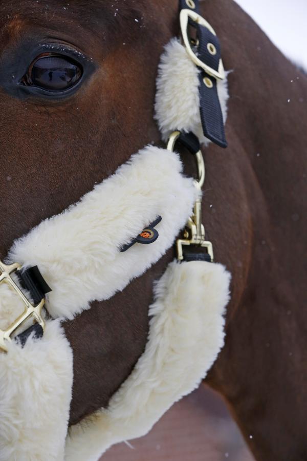 Field Safe Headcollar TERRIS  by Equiline