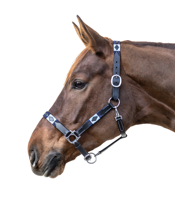 POLO LEATHER HALTER by Waldhausen