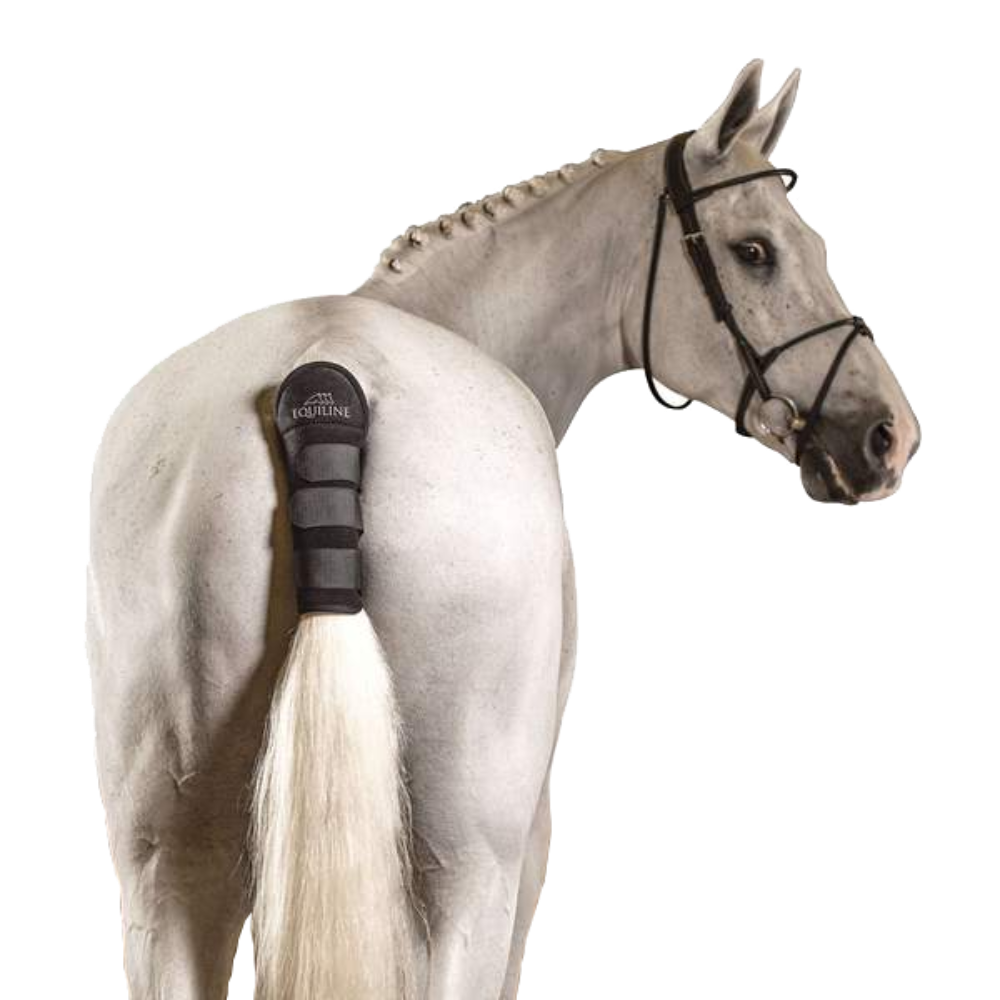 Tail Wrap NOLL by Equiline